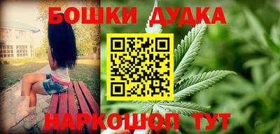 стафф Гай