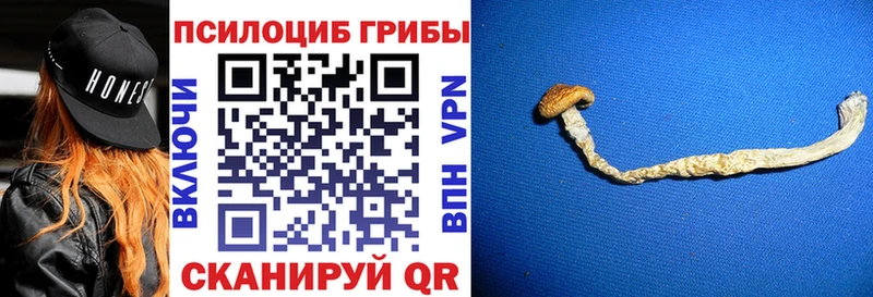 магазин  наркотиков  blacksprut онион  Псилоцибиновые грибы MAGIC MUSHROOMS  Зеленодольск 