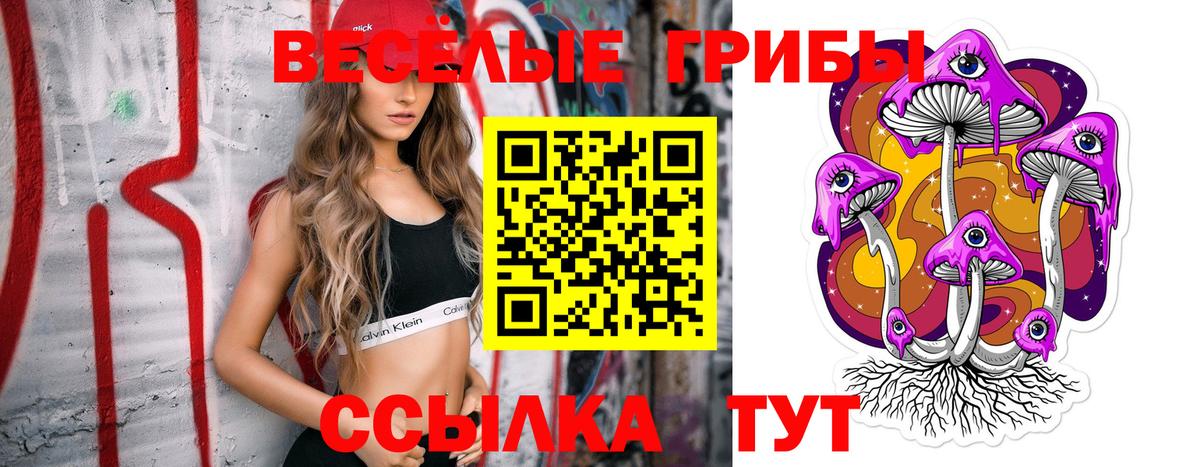 Галлюциногенные грибы прущие грибы  где купить   Зеленодольск 