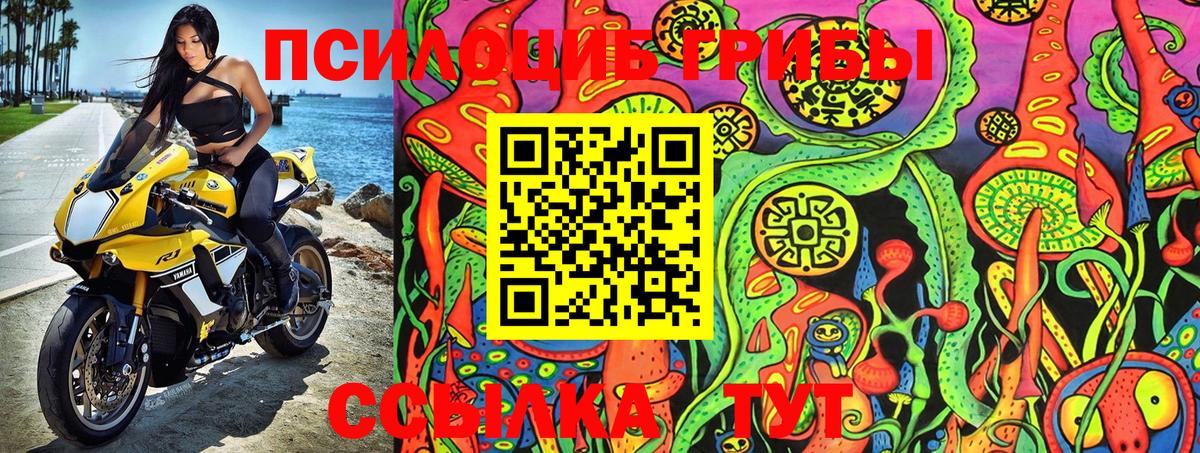 Псилоцибиновые грибы MAGIC MUSHROOMS  Галлюциногенные грибы Psilocybe  Зеленодольск  даркнет сайт  Вход с VPN 
